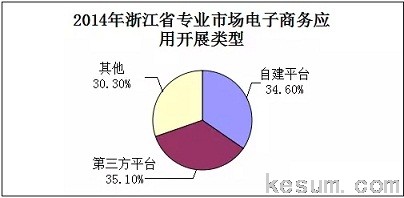 浙江省专业市场电子商务发展报告